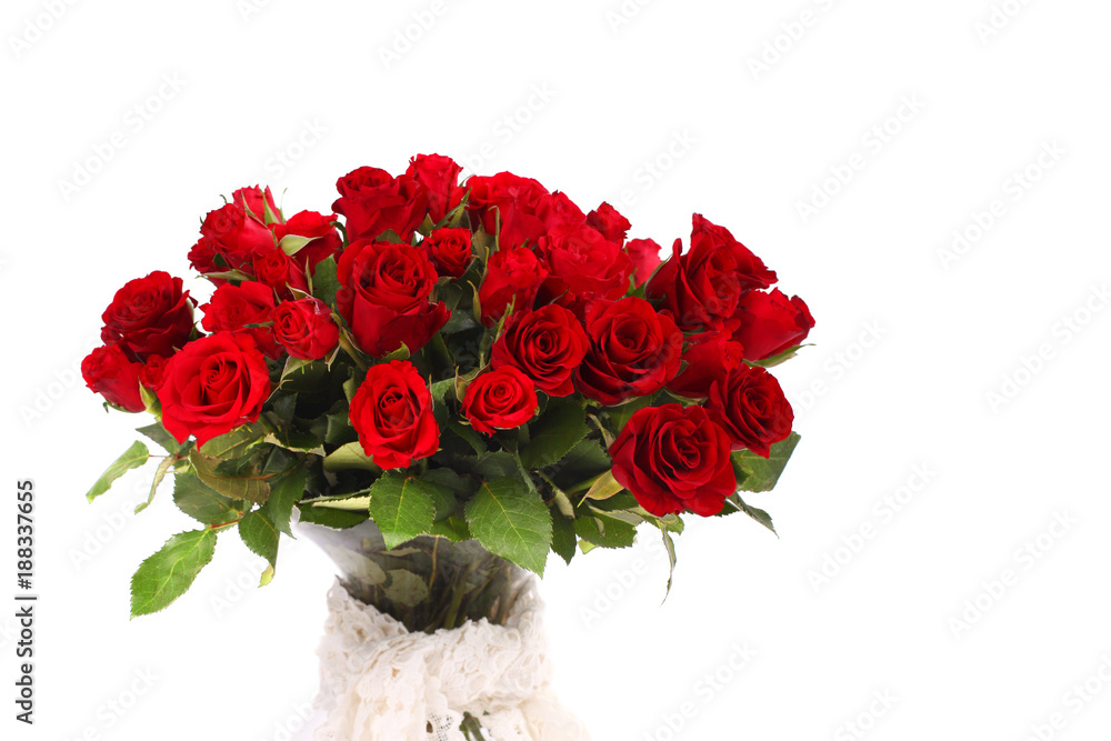 rote Rosen rote Rosen