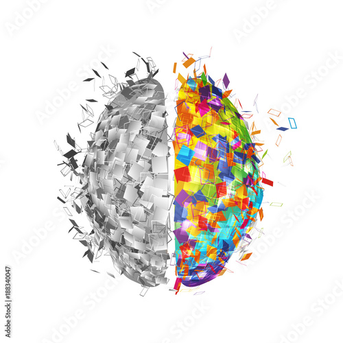 Abstract human brain with colorful right part and monochromicorn left part . Visual logo of mind isolated vector illustration
