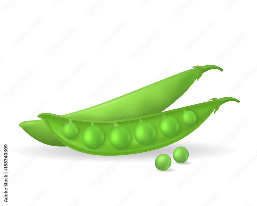 Realistic Detailed 3d Green Peas. Vector Realistic Detailed 3d Green Peas. Vector