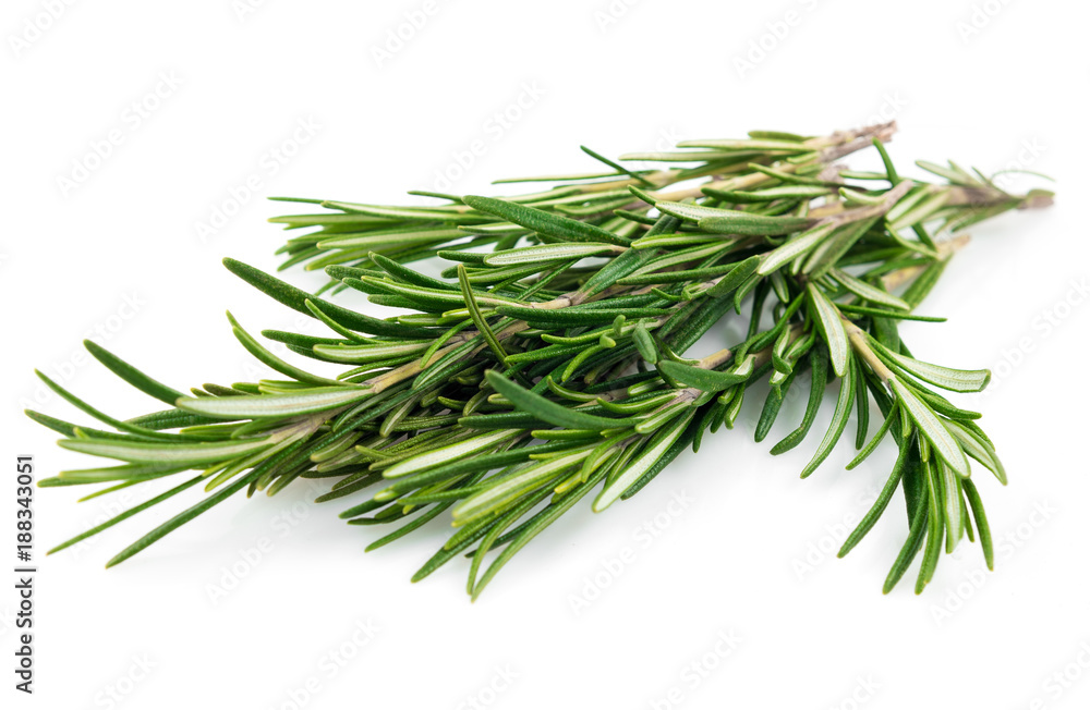 Fresh rosemary leaves isolated on white background cutout
