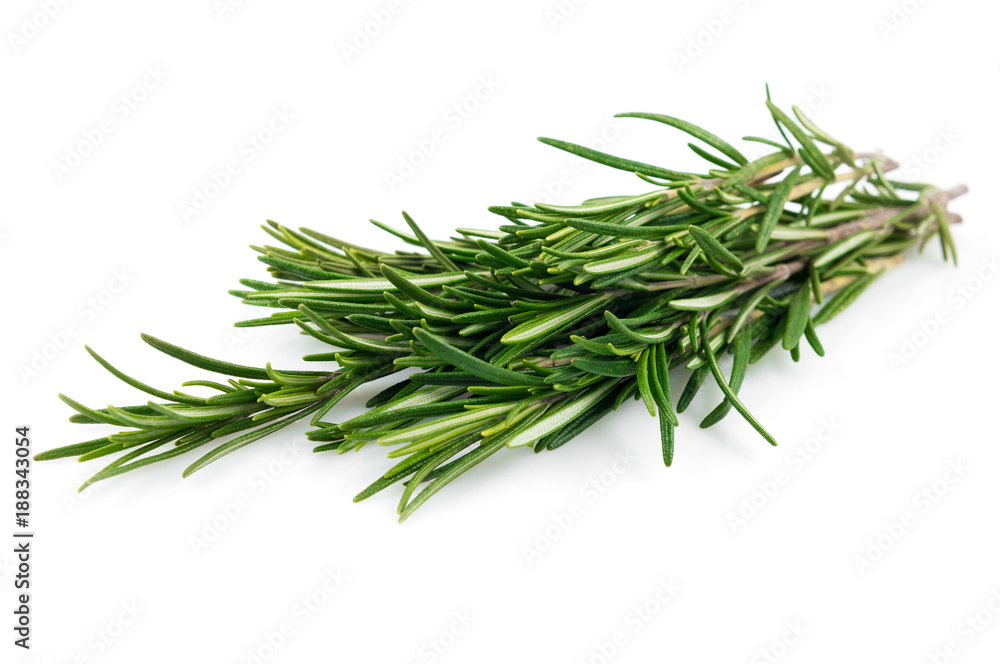 Fresh rosemary leaves isolated on white background cutout Fresh rosemary leaves isolated on white background cutout