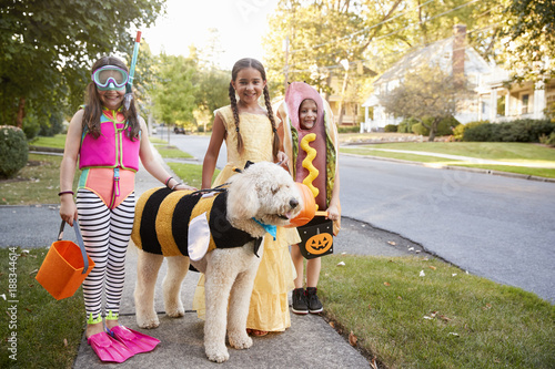 Children And Dog In Hallowe...