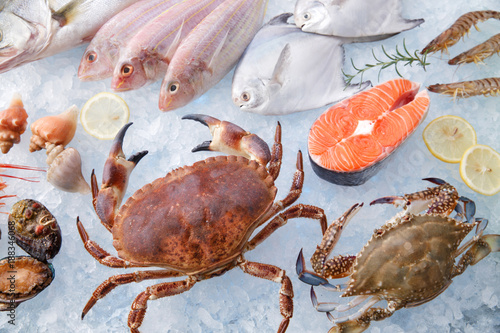 seafood photo