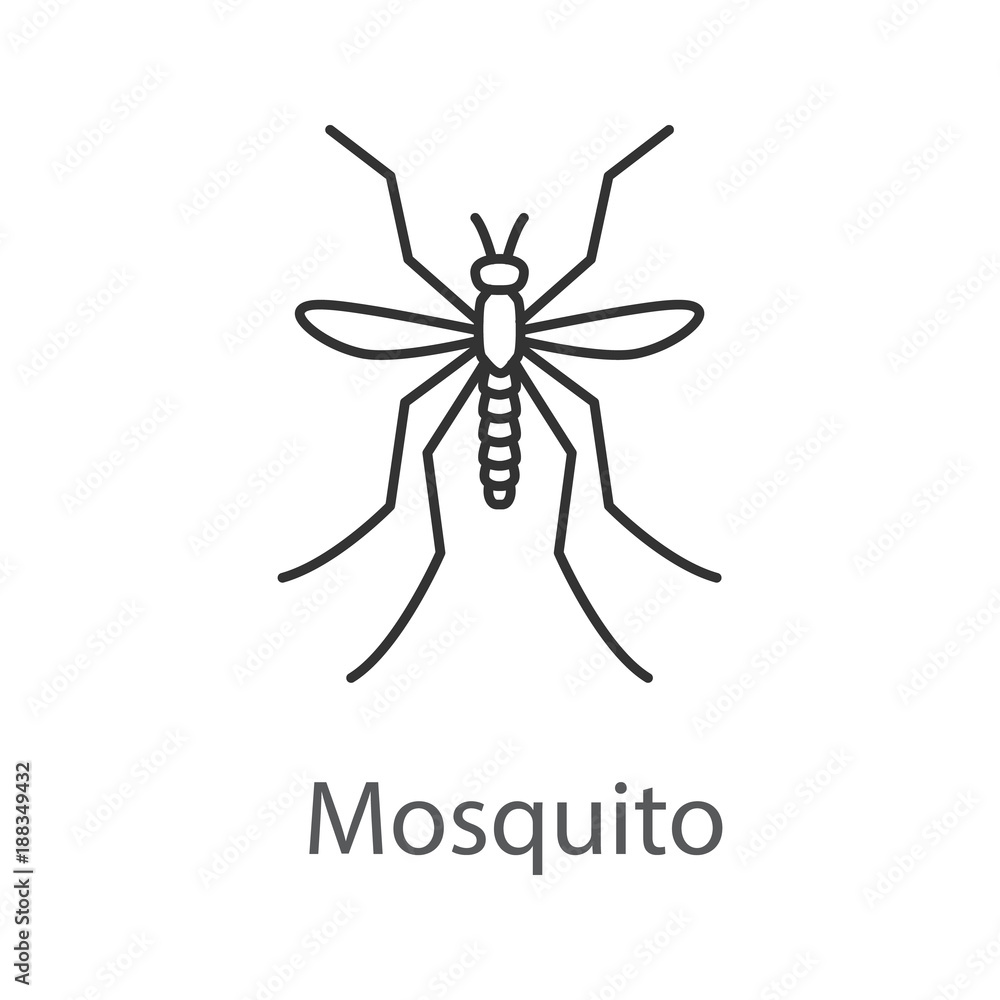 Mosquito linear icon Mosquito linear icon
