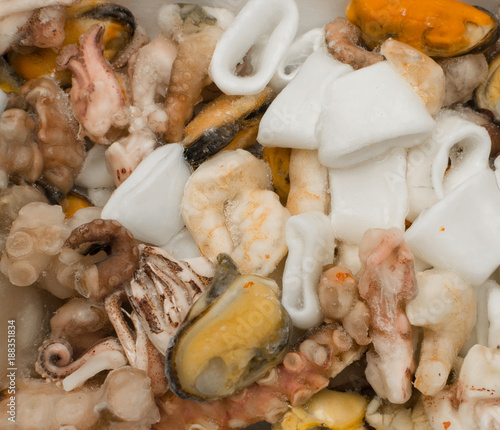 Frozen Chunks of Seafood or Sea Cocktail