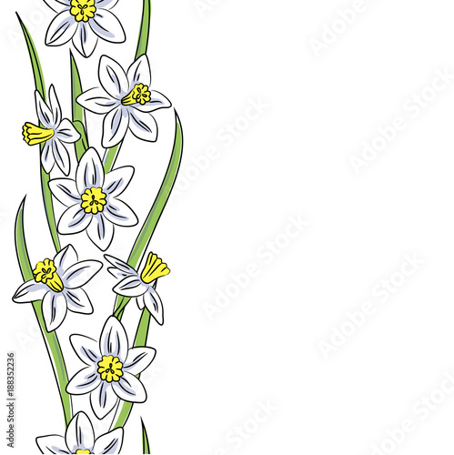 Fototapeta Naklejka Na Ścianę i Meble -  vector color narcissus vertical border