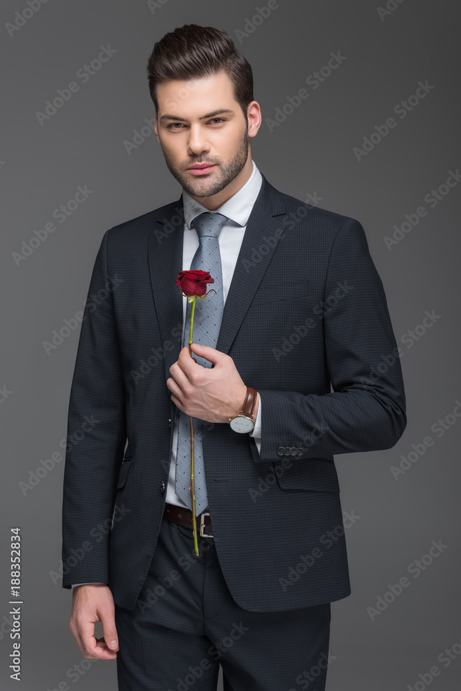 handsome bearded man in suit holding red rose, isolated on grey handsome bearded man in suit holding red rose, isolated on grey
