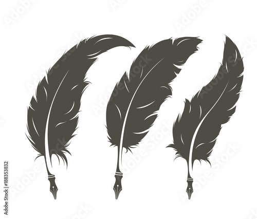 set of three isolated feathers for writing