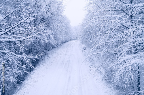 Schilderij op canvas Aerial view of snowy forest with a road