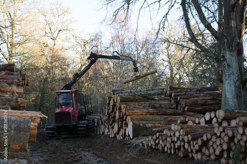 Rear view of a machine lifting logs and placing them onto a stack of logs