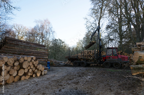 A machine lifting tree logs from a trailer and placing them onto one of many stacks of logs