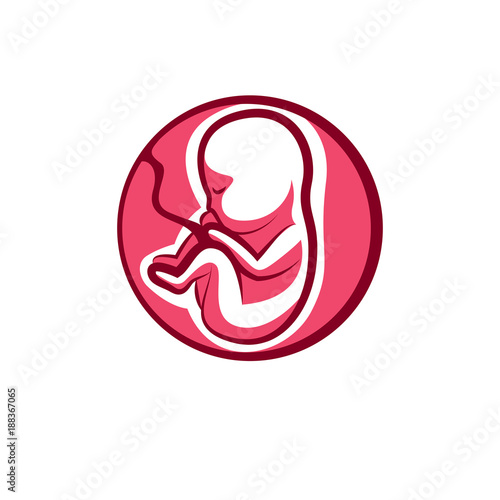 Human fetus hand-drawn vector illustration isolated on white. New life conceptual symbol.