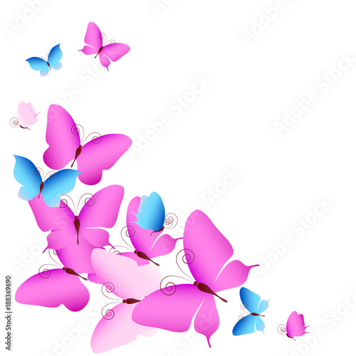 beautiful pink butterflies, isolated on a white