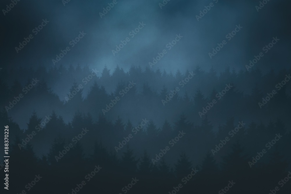 Fototapeta premium forest in the mountain at night with dark trees