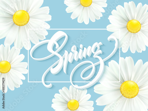Calligraphic inscription Hello Spring with spring flower - blooming white daisy. Vector illustration