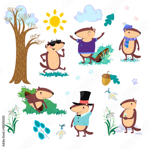 Happy Groundhog Day set, cute marmot in cylinder holds flower - white snowdrop, prediction of weather, animal climbed out of ground burrows after wintering, hog gipernation vector illustration