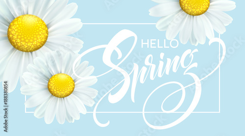 Calligraphic inscription Hello Spring with spring flower - blooming white daisy. Vector illustration