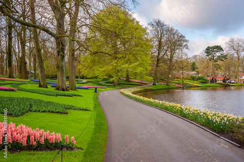 Keukenhof with trees and flowers