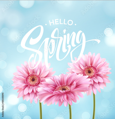 Fototapeta Naklejka Na Ścianę i Meble -  Gerbera Flower Background and Hello Spring Lettering. Vector Illustration