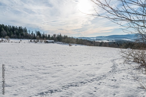 Wallpaper Mural Schnee bedeckte Landschaft im Bayerischen Wald mit Blick auf die Alpen, Bayern, Deutschland  Torontodigital.ca