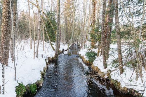 Die Schwarzach bei Spiegelau im Bayerischen Wald, Deutschland photo