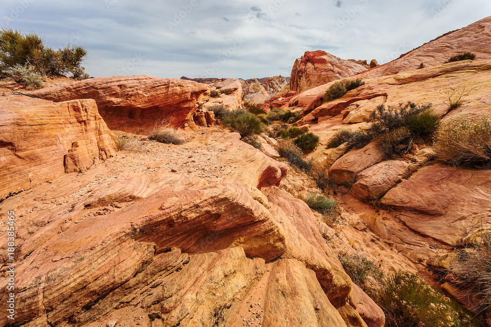 Scenic views at Valley of Fire.