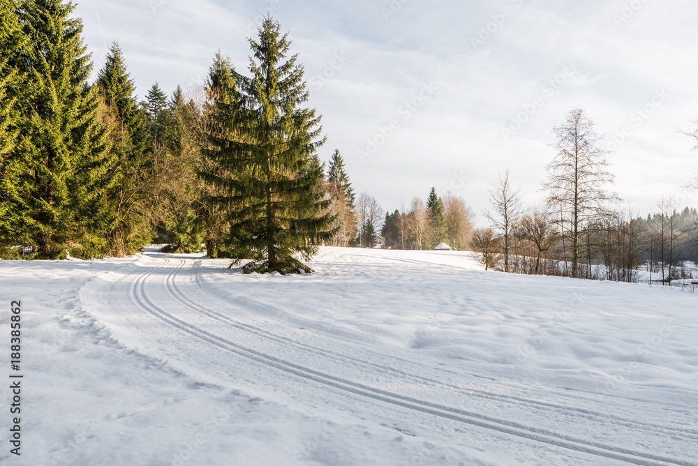 Gespurte Langlauf Loipen im Bayerischen Wald, Deutschland Gespurte Langlauf Loipen im Bayerischen Wald, Deutschland