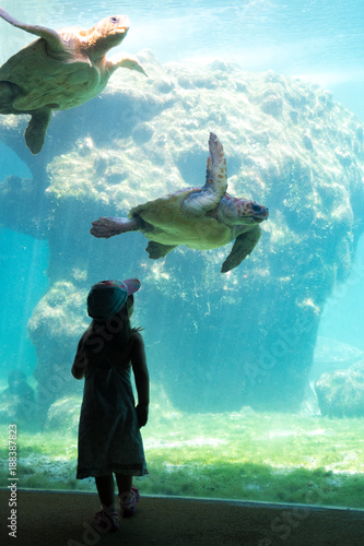 Silhouette enfant Aquarium