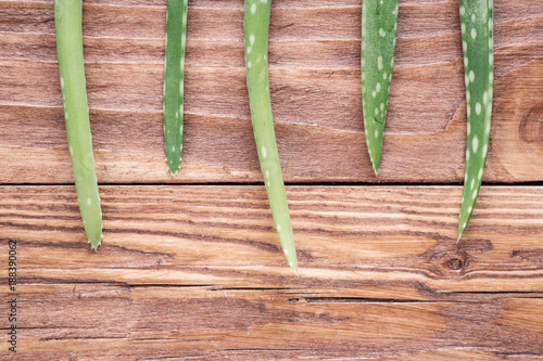 Fototapeta Naklejka Na Ścianę i Meble -  Aloe vera leaves on wooden table. Natural cosmetic ingredients with copy space. Fresh aloe vera plant on wooden board, flat lay. Spa concept, top view.