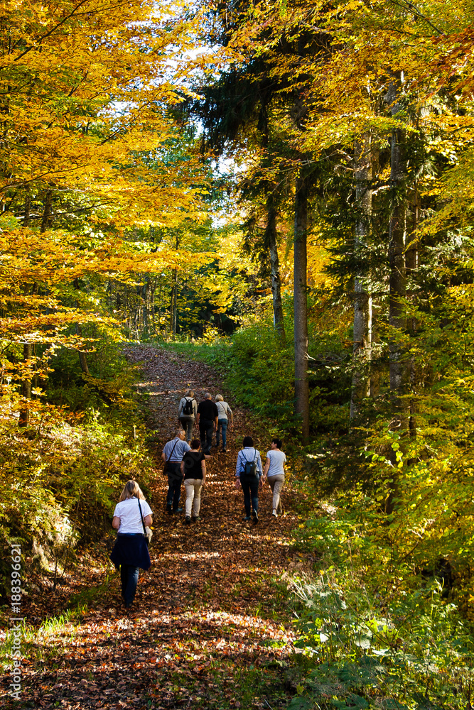 Wandergruppe im Herbstwald Wandergruppe im Herbstwald