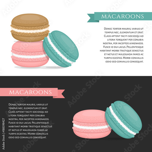 Different types of macaroons. Banner  cake macaron. Flat style, vector illustration.