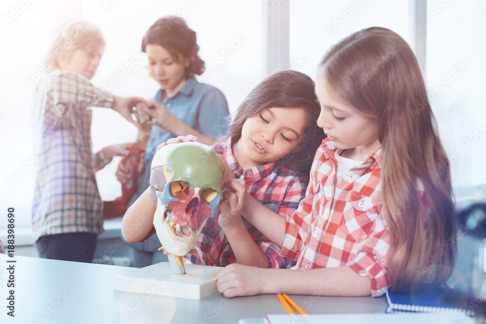 Vividness for knowledge. Active interested intelligent children using special model while attending biology class and fulfilling practical assignment Vividness for knowledge. Active interested intelligent children using special model while attending biology class and fulfilling practical assignment