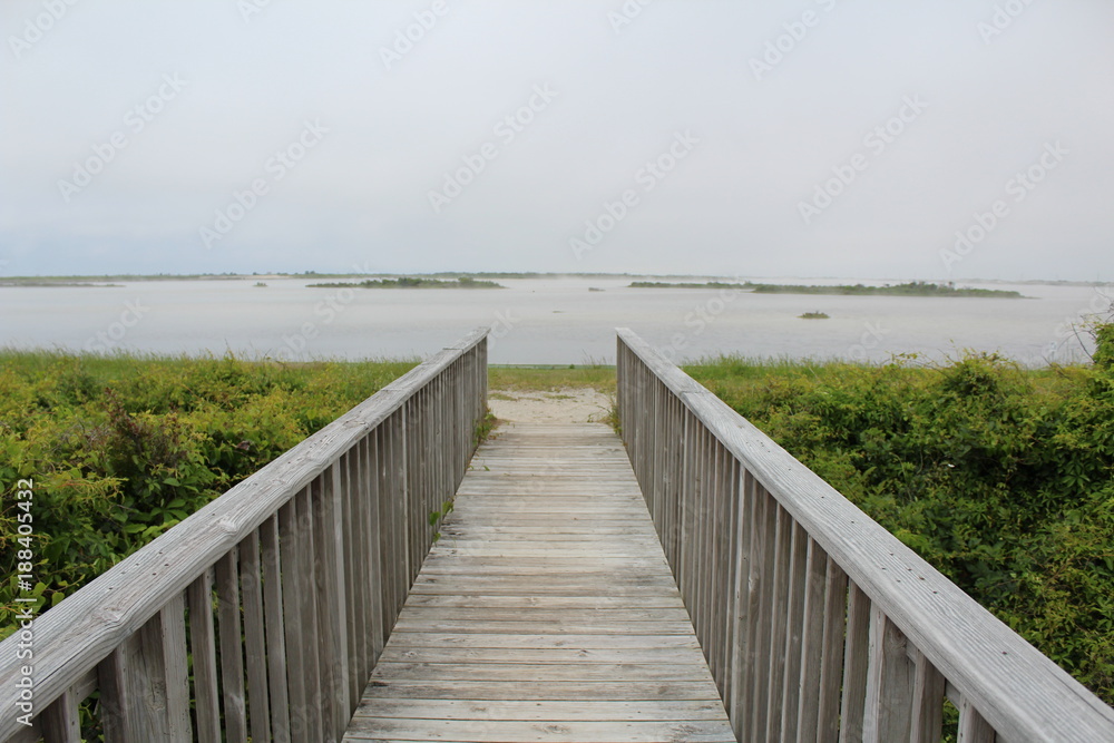 swamp boardwalk