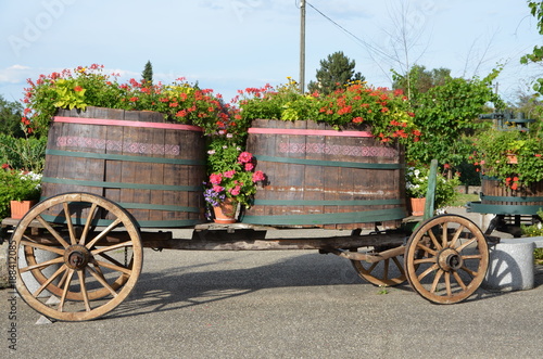 Fototapeta Naklejka Na Ścianę i Meble -  Char fleuri