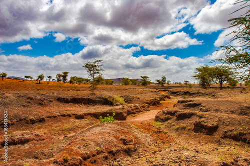 River bed in Africa. The dr...