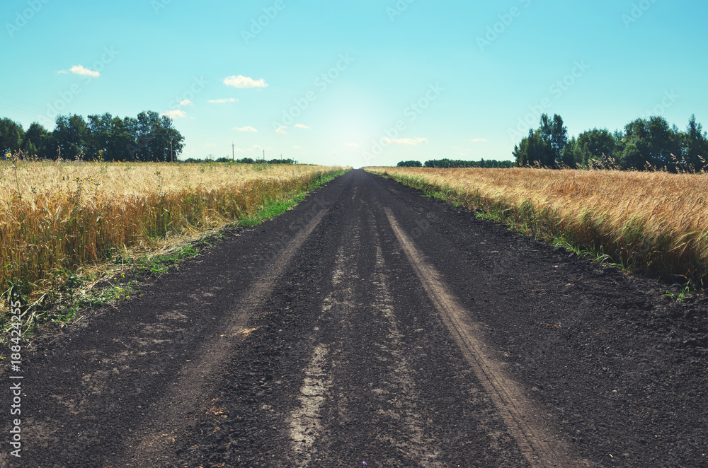 Sunny summer scene with ground countryside road.