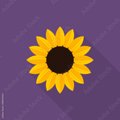 Sunflower icon with long shadow on purple background, flat design style