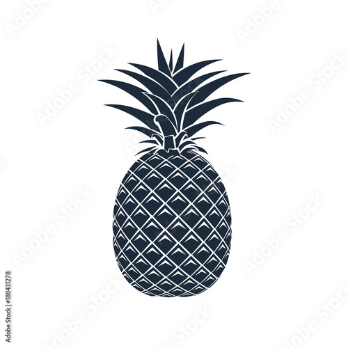 Vector pineapple icon on white background.