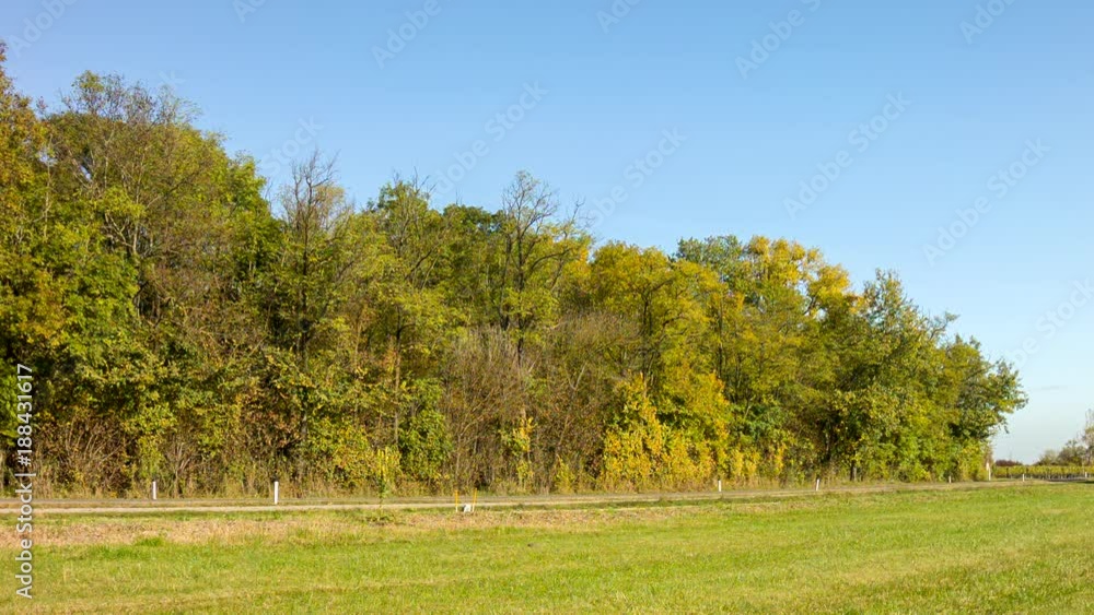 Burgenland Sommerlandschaft weite Totale Neusiedlersee Naturschutzgebiet Burgenland Sommerlandschaft weite Totale Neusiedlersee Naturschutzgebiet