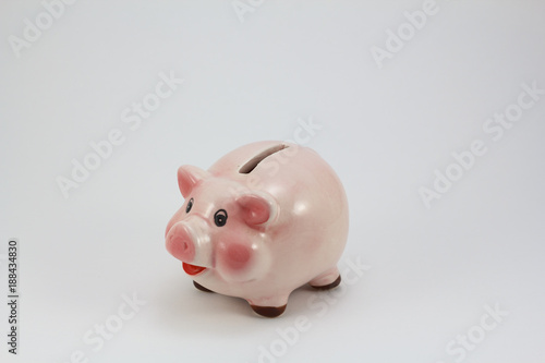 Ceramic pig piggy box