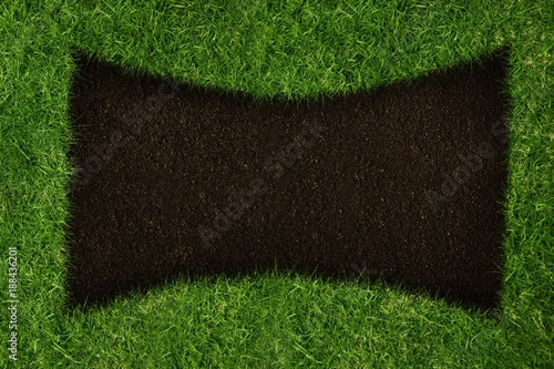 Earth inside grass 