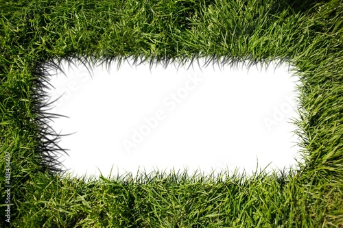white square inside green grass