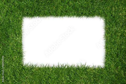 white square inside grass