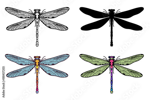Set of Hand drawn stylized dragonflies outline, silhouette and two different colors isolated on white background. Suitable for coloring or illustration for sticker