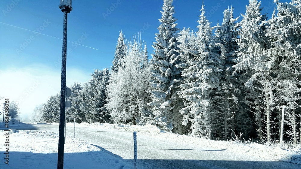 Obraz premium Winterwunderland 