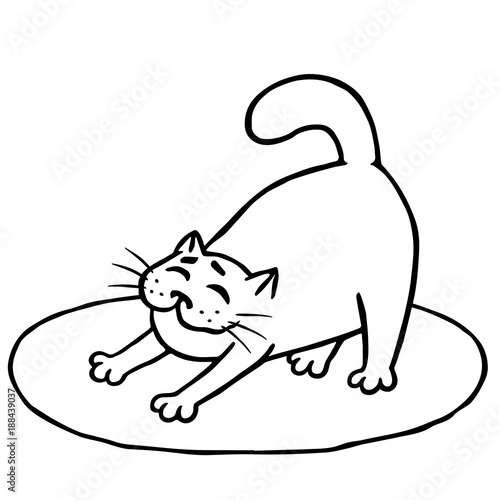 Sleepy cute cat woke up and stretched on rug. Isolated vector illustration.
