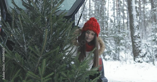 smiling cheerful young woman, girl, brunette sitting on the car trunk, cleanung herself near the christmas tree, fir, freshly cut spruce in the forest photo