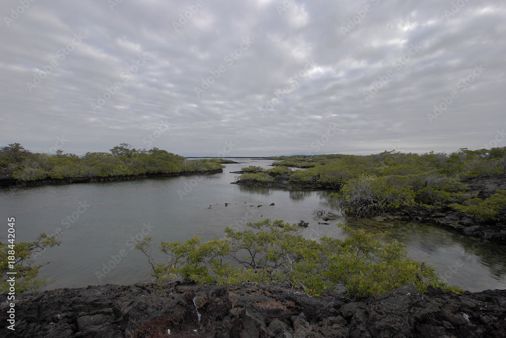 Bay landscape, Punta Moreno, Isabela island, Galapagos Islands, Ecuador