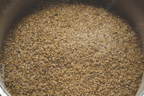 Grinded grains of barley malt close-up. Craft beer brewing from grain barley pale malt in process. Ale or lager from pilsner malt. photo