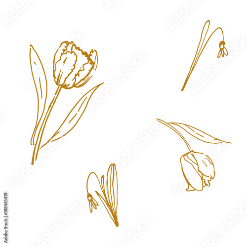 Goldene Frühjahrsblumen handgezeichnet, linear